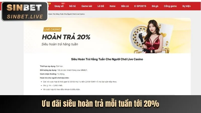 Cập nhật khuyến mãi và sự kiện đặc biệt
